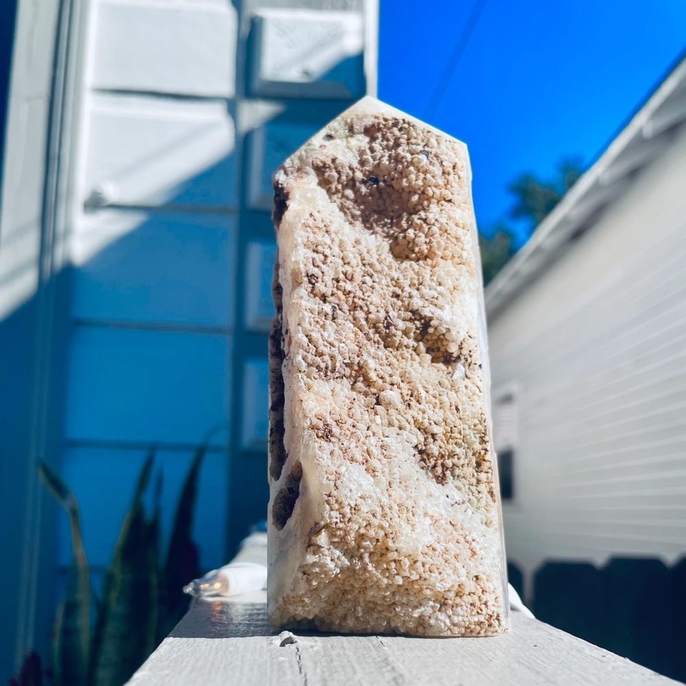 Agate - Picture 12 of 12